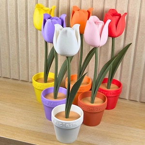 Op de afbeelding: Een verzameling kleurrijke tulpdecoraties in kleine potten. De tulpen zijn in verschillende kleuren, waaronder geel, paars, wit, oranje, roze en rood. Elke pot heeft een andere boodschap.