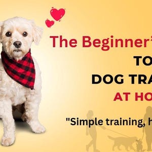 Può includere: Copertina di un ebook con un cane bianco con un bandana a scacchi rosso e nero. Il titolo è "La guida per principianti all'addestramento del cane a casa". Due cuori rossi sono sopra il titolo. Lo sfondo è giallo.