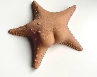 Big Booty Starfish Fridge Magnet 46+ Colours