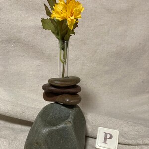 Bud Vase of Lake Superior Rock OR Rock and Driftwood Select a Specific Vase image 5