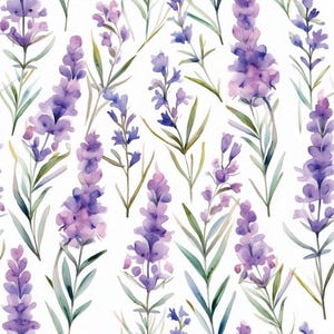 May include: A watercolour pattern of lavender flowers on a white backdrop. The image shows a repeating design of purple lavender blooms with green leaves and stems. The flowers are in different stages of bloom, with some buds still closed.