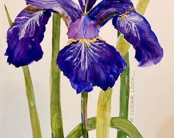 IRIS Violet Art CARD