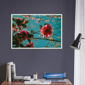 Sunset Camellia Framed Poster - Vibrant Pink Blossom Art - Wall Decor for Nature Lovers