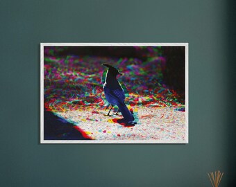 Stellar Jay Art: Glitch Color Theory Mounted Framed Poster - Bearizona Wildlife Park Photo