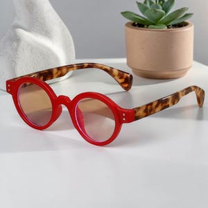 May include: Round-frame eyeglasses with a red frame and tortoise-shell patterned arms. The glasses are set against a white background. A small succulent in a brown pot is in the background.
