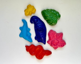 Jungle Themed Soy Crayons - Vibrant Rainforest Animals - Creative and Educational Toy