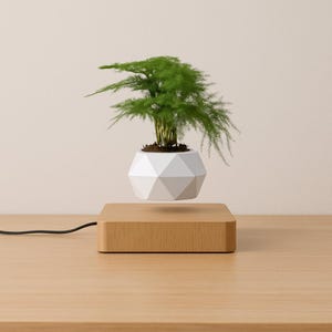 May include: A levitating planter with a geometric white pot holding a green plant. The pot hovers above a wooden base. A black cord extends from the base, and the background is a neutral color. The plant has feathery green foliage.