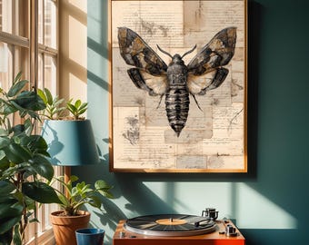 Wiktoriański wydruk artystyczny z ćmą, gotycka dekoracja ścienna, plakat z owadami, ilustracja z Halloween, natura, entomologia, styl vintage, grafika z owadami