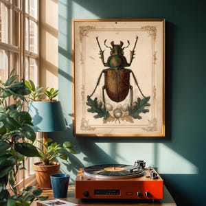 May include: A framed wall print featuring a detailed illustration of a large brown beetle centered above a cluster of green oak leaves and acorns, enclosed within a decorative border on a cream-colored background, displayed in a thin gold frame.