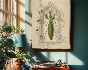Dark Academia Insect Poster Praying Mantis Art Print Gothic Wall Decor Entomology Illustration Vintage Bug Artwork Halloween Aesthetic