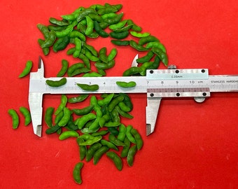 Handmade Miniature Edamame, 枝豆, immature soybeans in the pod, stem beans, clay, 100 pcs