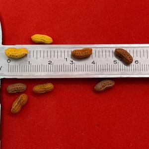 Handmade Miniature Roasted Ground Peanuts on plates, ground nuts mixed, 花生, DIY dollhouse, 1:12, clay, 1 set image 2