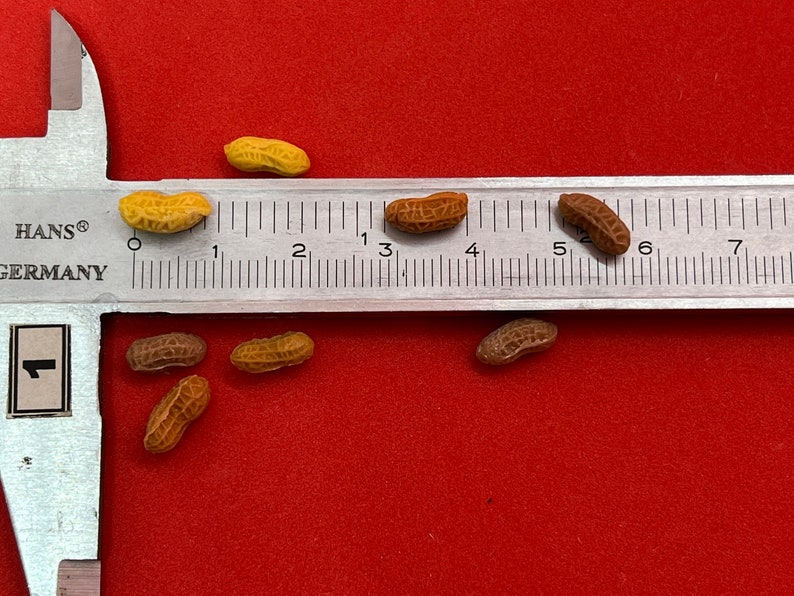 Handmade Miniature Roasted Ground Peanuts on plates, ground nuts mixed, 花生, DIY dollhouse, 1:12, clay, 1 set image 2