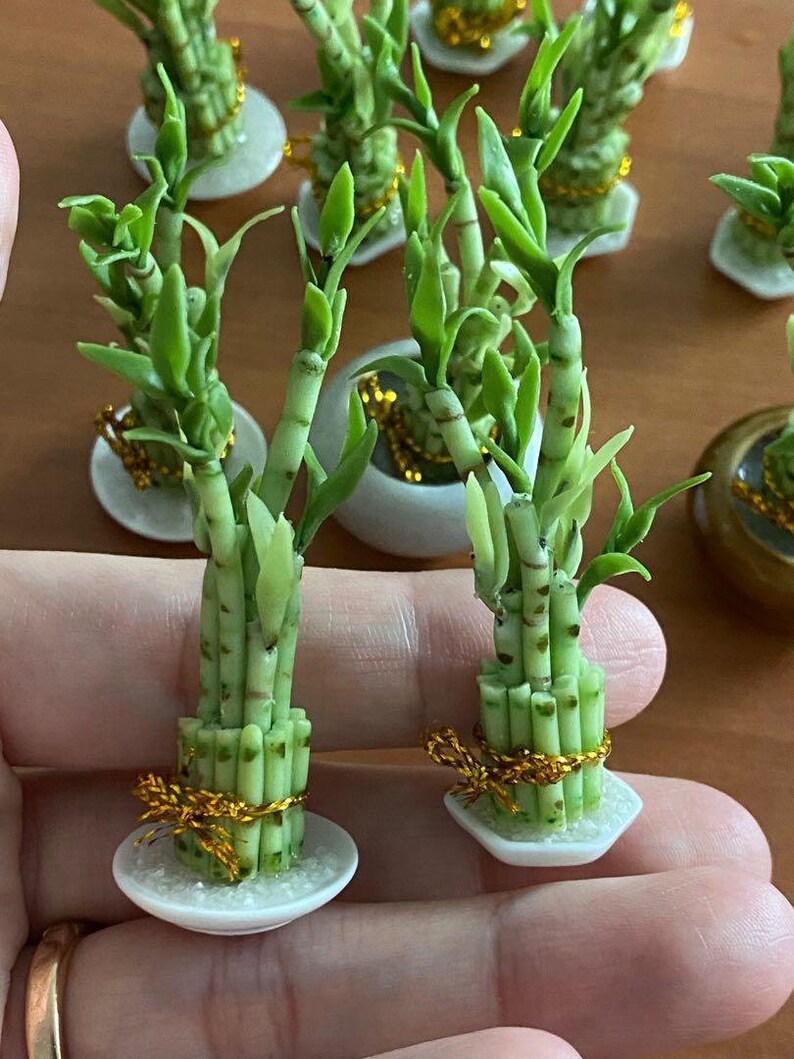 Handmade Miniature Lucky Bamboo Plant Clay Flower Plant Etsy