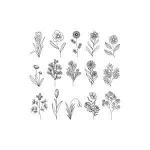 May include: A collection of fifteen black and white line art illustrations of various flowers and plants. Each botanical drawing features detailed outlines of different floral species, including daisies, tulips, and other wildflowers, perfect for crafting or design projects.