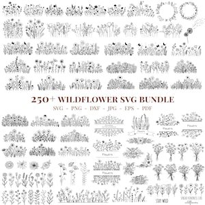 Wildblumen SVG Bundle, Botanische Skizze, Blumenwiese (Digitaler Download)