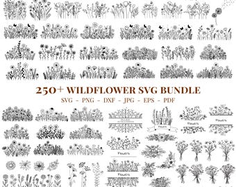 Wildflower SVG Bundle, Botanical Sketch, Flower Meadow (Digital Download)