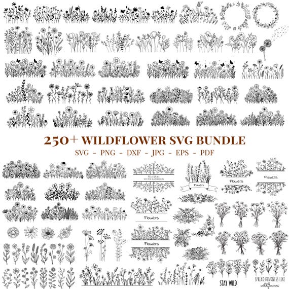 Wildflower SVG Bundle, Botanical Sketch, Flower Meadow (Digital Download)