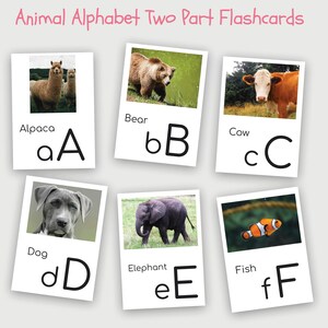 ANIMAL ALPHABET with real animal images - 26 Montessori Animal Cards - Two Part Cards - Printable Flash Cards PDF - Home Education Preschool
