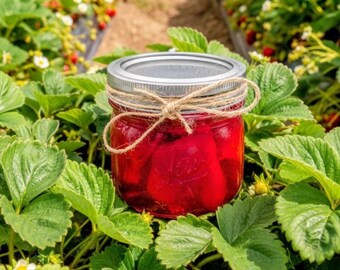 May include: A glass jar filled with bright red preserves, sealed with a silver lid and tied with twine. The jar sits amidst lush green strawberry plants, with ripe strawberries visible in the background.