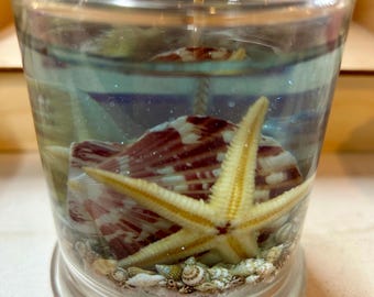 Seascape Gel Wax Candle