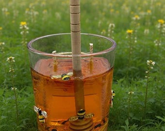 May include: A glass of amber-colored honey with a wooden honey dipper. The glass is decorated with bee-shaped charms. The dipper has a grooved handle and a honey-collecting end. The background is a field of green grass and wildflowers.