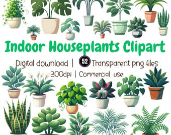 Potted Houseplant Clipart, Modern Botanical PNG, Plant Illustrations (Digital Download)