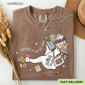Support Is On The Way Shirt, Silly Goose Special Education Teacher Shirt, Funny SPED Teacher Tee, Autism Support Staff Gift Top