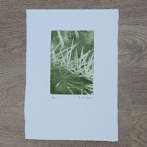Ispirato dalla natura, edizione limitata, stampa originale, opera su carta, decorazione in soggiorno, ufficio, camera da letto, corridoio,