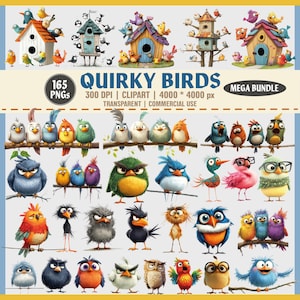 Paquete de imágenes prediseñadas de pájaros peculiares: 165 imágenes PNG de pájaros divertidos y adorables, pájaros extravagantes, pájaros de dibujos animados coloridos, ilustraciones de animales, uso comercial