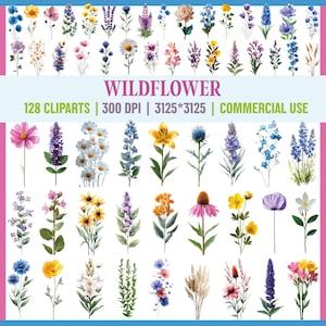Wildblumen Clipart, 128 Wildblumen PNG, Aquarell Wildblumen, Aquarell Blumen PNG, Wildblumen Clipart, transparenter Hintergrund, digital