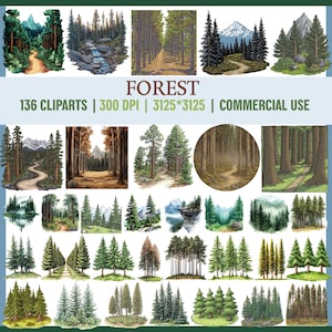 Clipart arbre forestier aquarelle forêt de pins PNG | Pins montagne clipart | Graphismes de clipart de fond de forêt de paysage de paysage de verdure
