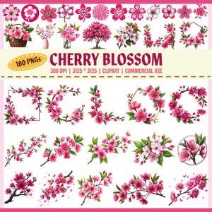 Cherry Blossom Clipart Bundle, Sakura Flowers PNG, Watercolor Floral Clip Art, Spring Blossoms, Pink Tree Clipart, Cherry Branch Png,300 DPI