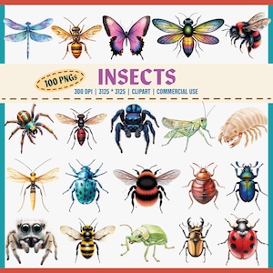 Pacchetto di clipart di insetti, 100 PNG, insetti colorati, libellule, farfalle, api, ragni, coleotteri, formiche, insetti realistici, uso commerciale