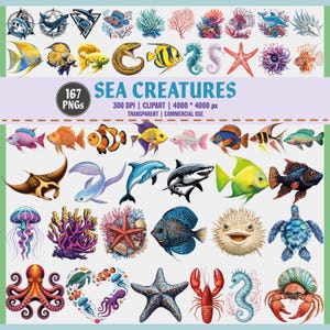 Meerestiere Clipart Bundle | 167 PNG | Fische, Delfin, Hai, Schildkröte, Krake, Seestern, Qualle, Seepferdchen, Koralle, Krabbe | Kommerzielle Nutzung