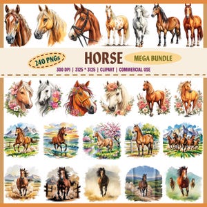 240 PNG Horse Clipart Bundle, Running Horse PNG, Floral Horse Clipart, Western Horse Art, Watercolor Horse, Farm Horse PNG, Rodeo Horse Art,