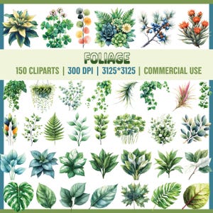 Gebladerte clipart | 150 png-bladeren, illustraties, transparante achtergrond, aquarel groen, commercieel gebruik, natuur, monsterablad, boombladeren,