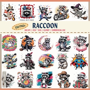 Paquete de imágenes prediseñadas de mapache lindo, Panda de basura divertido, Poses de mapache de dibujos animados, Mago patinador de verano, Arte retro vintage, 300 DPI