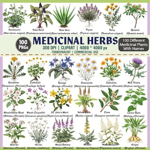 Medicinal Herbs Clipart, 100 Herbal Plants PNG, Healing Plants Clipart, Botanical Herbs PNG, Medicinal Plants Bundle, Watercolor Herbs,