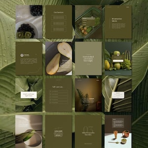 250 Wellness Instagram Templates Canva Bundle: Social Media Brand Kit (PDF Download)