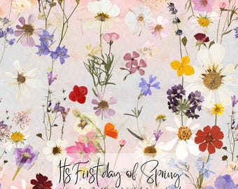 Pressade blommor på rosa sömlöst mönster, digital nedladdning, pastellblommig textildesign, tygtryck med riktiga blommor, PNG-fil för kommersiellt bruk