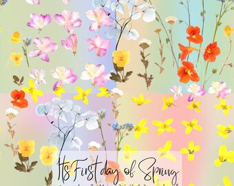 Ängblommigt sömlöst mönster, digital nedladdning, livfull blommig textildesign, sommartygtryck, kommersiell användning PNG-fil