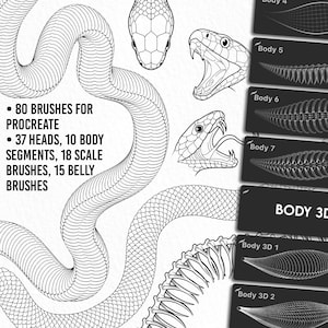 Complete snake drawing made with the Ultimate Snake Kit – showing detailed skeleton structure, scales, belly, and dynamic head design.