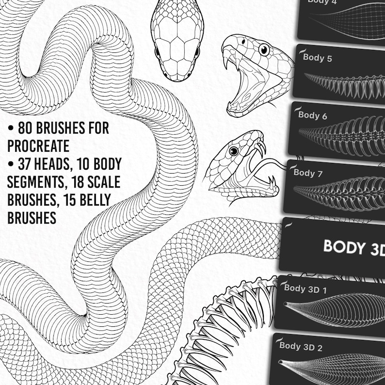 Complete snake drawing made with the Ultimate Snake Kit – showing detailed skeleton structure, scales, belly, and dynamic head design.