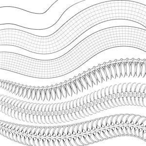 Peut inclure: Illustration en noir et blanc de lignes ondulées et d'un motif répétitif d'une colonne vertébrale segmentée.