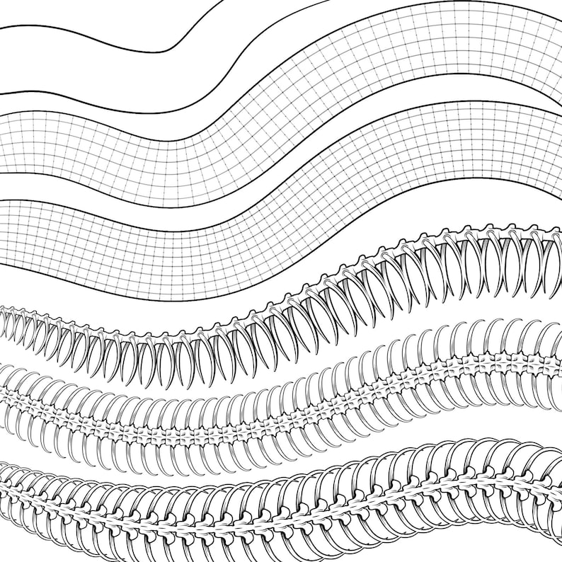 Peut inclure: Illustration en noir et blanc de lignes ondulées et d'un motif répétitif d'une colonne vertébrale segmentée.