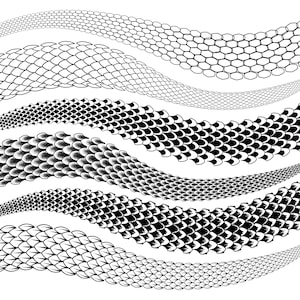May include: A monochrome illustration featuring multiple undulating lines, each showcasing a distinct pattern of reptile scales. The scales vary in form and size, with some being simple outlines and others intricate, shaded designs.