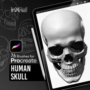 Human Skull Set de brushes Procreate pour tatoueurs et illustrateurs