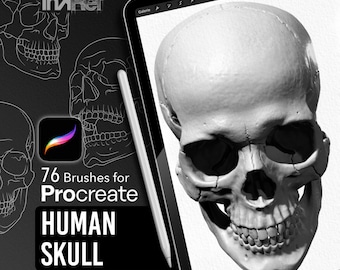 Human Skull Set de brushes Procreate para tatuadores e ilustradores