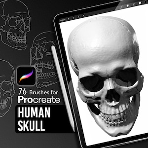 Human Skull – Procreate Brush Pack for Tattoo Artists & Illustrators